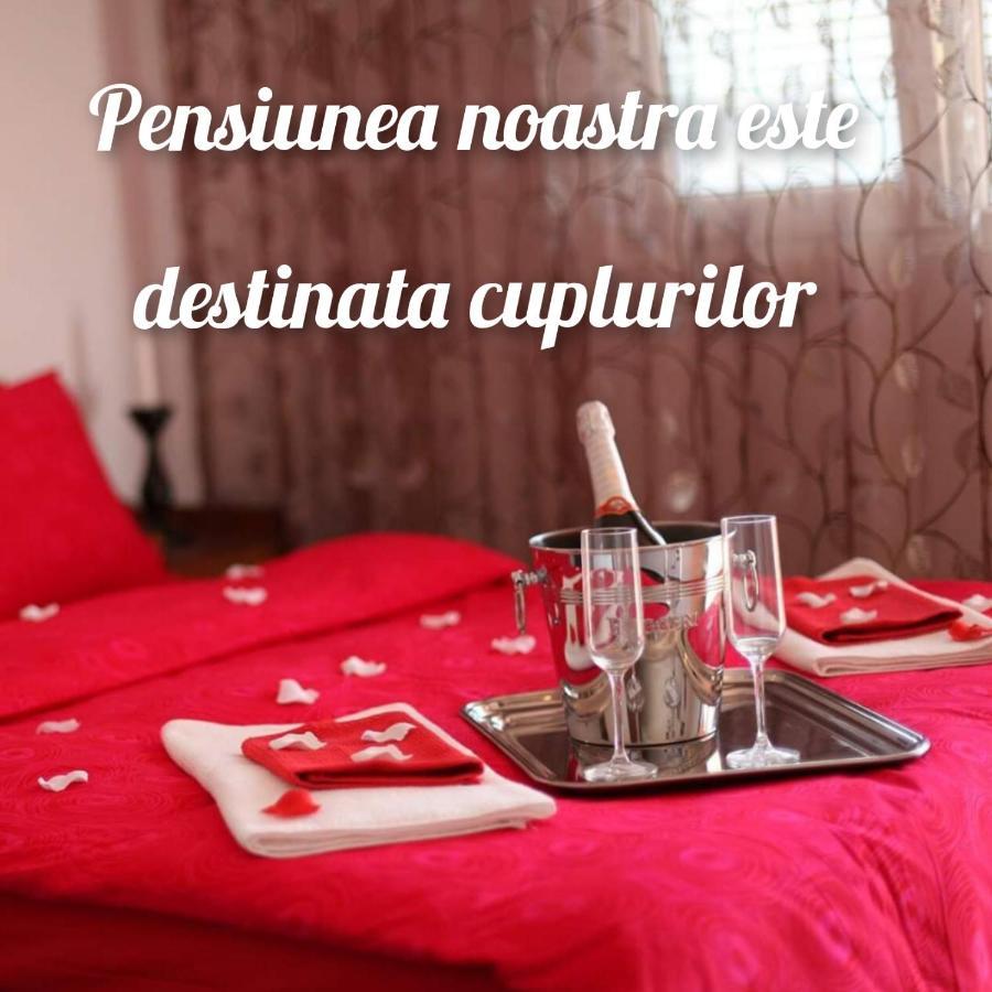 Vila Floarea Etiquette Костінешть Екстер'єр фото